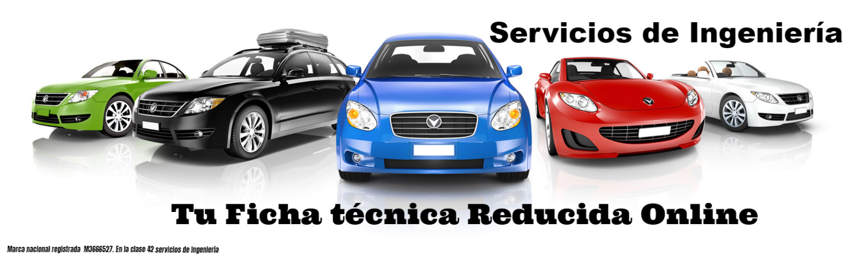 ficha tecnica reducida
